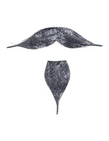 Baffi e barba Silver
