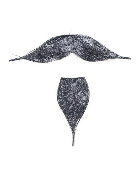 Baffi e barba Silver
