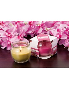 Candela cera in vasetto vetro Cm. 8x7 - Fragranze assortite