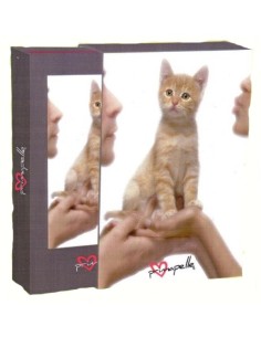 Album portafoto con custodia Cm. 20x30 gatto