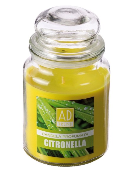 Candela cera in barattolo vetro Citronella cm. 16,5x10