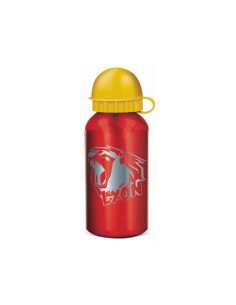 Borraccia alluminio 500 ML - Lyon