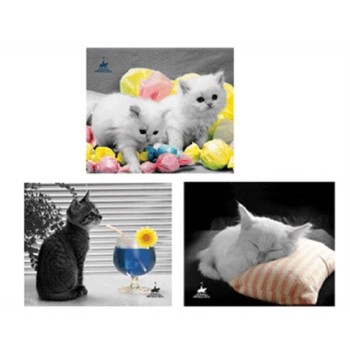 Mouse pad gatti