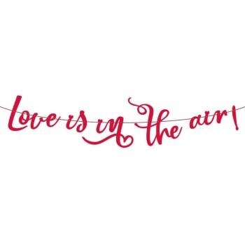 Festone scritta «Love is in the air» Cm. 200