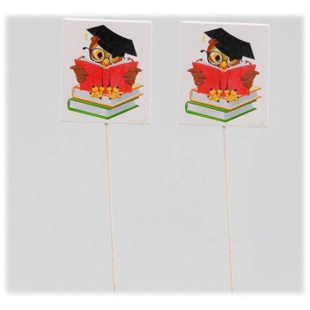 Set 12 pick in legno Gufetto con tocco laureato