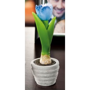 Candela tulipano in vasetto coccio Cm. 7,5x21 - Colori...