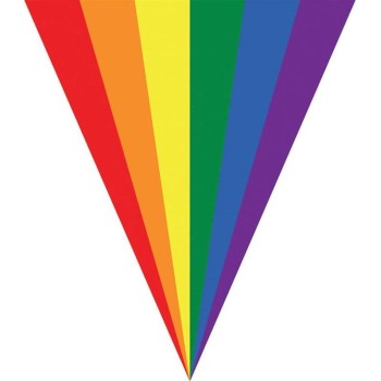 Festone bandierine arcobaleno Mt. 5