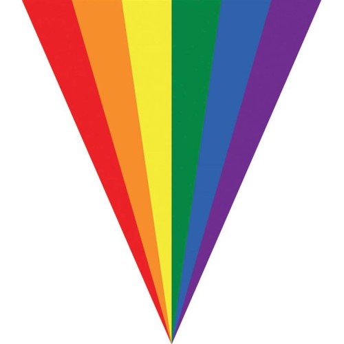 Festone bandierine arcobaleno Mt. 5