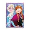 Pail Soft Frozen Cm. 100x140 Elsa E Anna