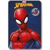 Coperta pail soft Cm. 100x140 - Spiderman blu