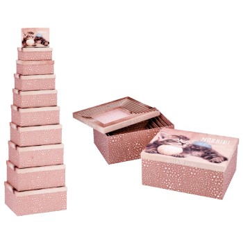Set 10 scatole cartone matrioska da Cm. 38x29x17 a...