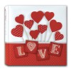 Album portafoto Cm. 24x24 – 30 Fogli – Love