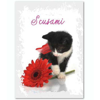 Biglietto auguri classico "Scusa" 2