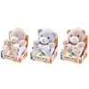 Peluche orsetto con coperta pail Cm. 75x90 – Modelli assortiti