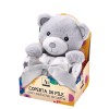 Peluche orsetto con coperta pail Cm. 75x90 – Modelli assortiti