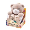 Peluche orsetto con coperta pail Cm. 75x90 – Modelli assortiti