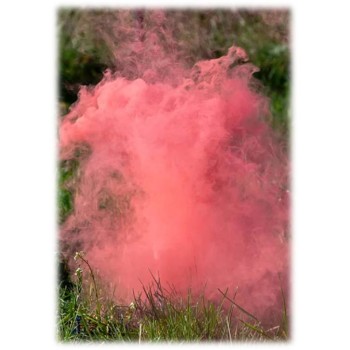 Fumogeno "Color Smoke Bomb" Cm. 22,5 - Boy or Girl? - Girl 2