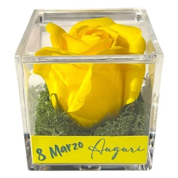 Rosa di sapone gialla Cm. 6 in scatolina plexiglass con...