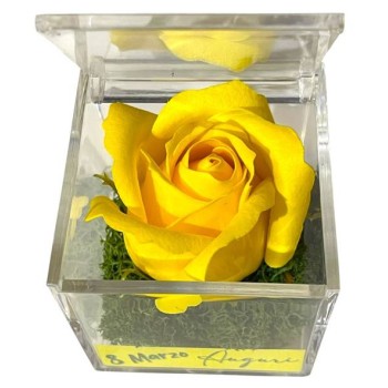Rosa di sapone gialla Cm. 6 in scatolina plexiglass con... 2