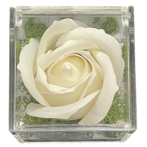 Rosa di sapone bianca in scatola plex Cm. 6x6x6...