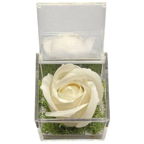 Rosa di sapone bianca in scatola plex Cm. 6x6x6...