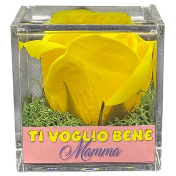 Rosa di sapone in scatola plex Cm. 6x6x6 - Gialla - Ti...