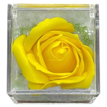 Rosa di sapone in scatola plex Cm. 6x6x6 - Gialla - Ti... 2