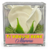 Rosa di sapone in scatola plex Cm. 6x6x6 - Bianca - Ti voglio bene Mamma