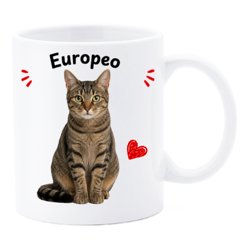 Tazza mug ceramica in scatola "Cat&Dog" - Europeo