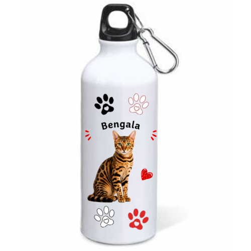Borraccia alluminio 500 ML con moschettone...