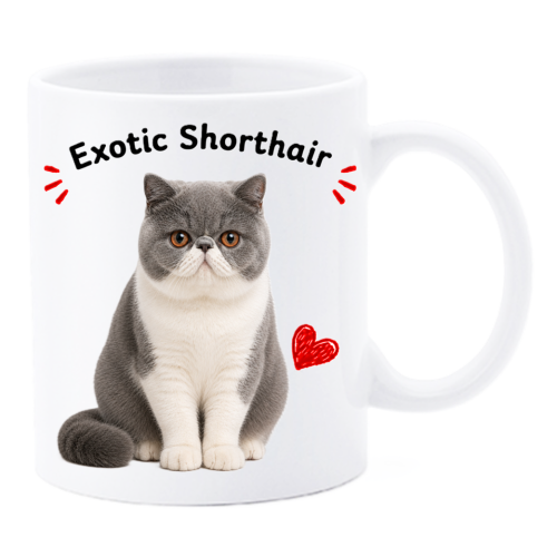 Tazza mug ceramica in scatola "Cat&Dog" -...