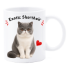 Tazza mug ceramica in scatola "Cat&Dog" - Exotic Shorthair