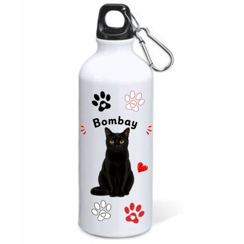Borraccia alluminio 500 ML con moschettone...