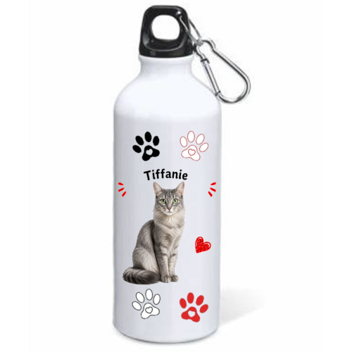 Borraccia alluminio 500 ML con moschettone...