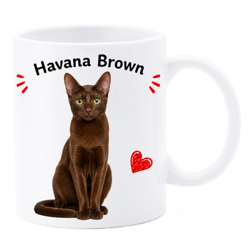 Tazza mug ceramica in scatola "Cat&Dog" -...