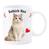 Tazza mug ceramica in scatola "Cat&Dog" - Selkirk Rex