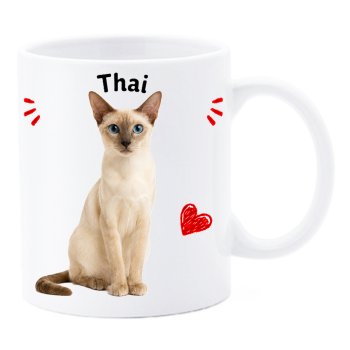 Tazza mug ceramica in scatola "Cat&Dog" - Thai