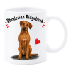 Tazza mug ceramica in scatola "Cat&Dog" - Rhodesian Ridgeback