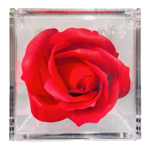 Rosa di sapone in scatolina plex Cm. 6x6x6 -...
