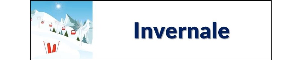 Invernale