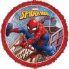 Mylar Licenza