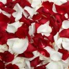 Petali di rosa
