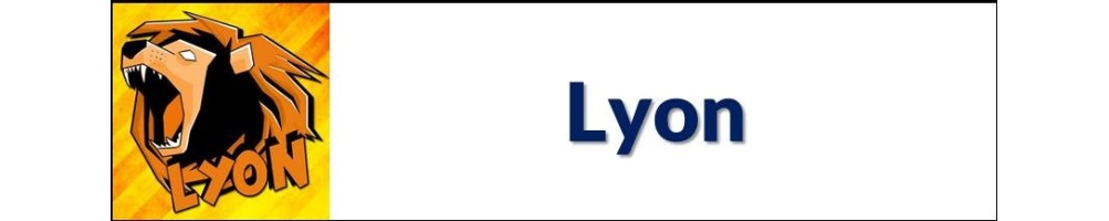 Lyon