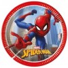 Festa a tema Spiderman