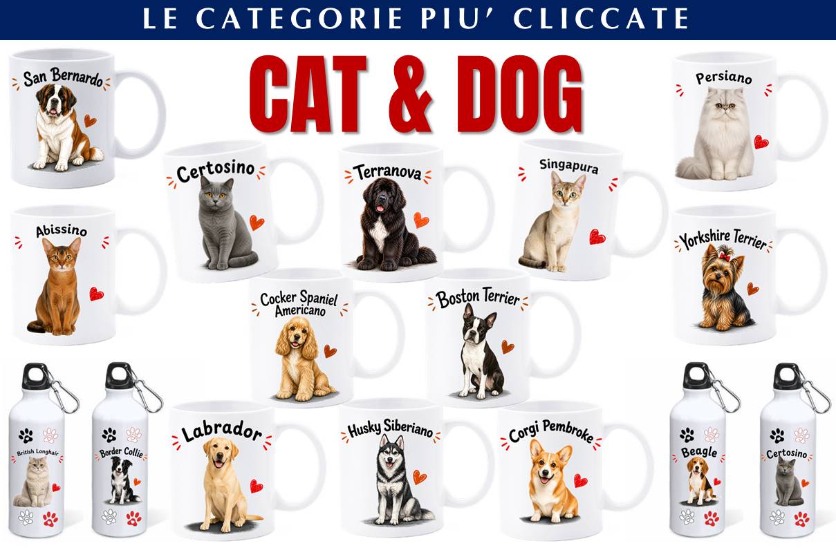 CAT&DOG